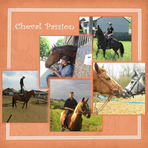 Stéphanie et la passion du cheval 2