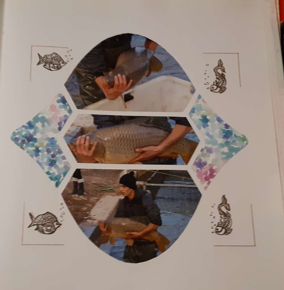 Suite des reproducteurs