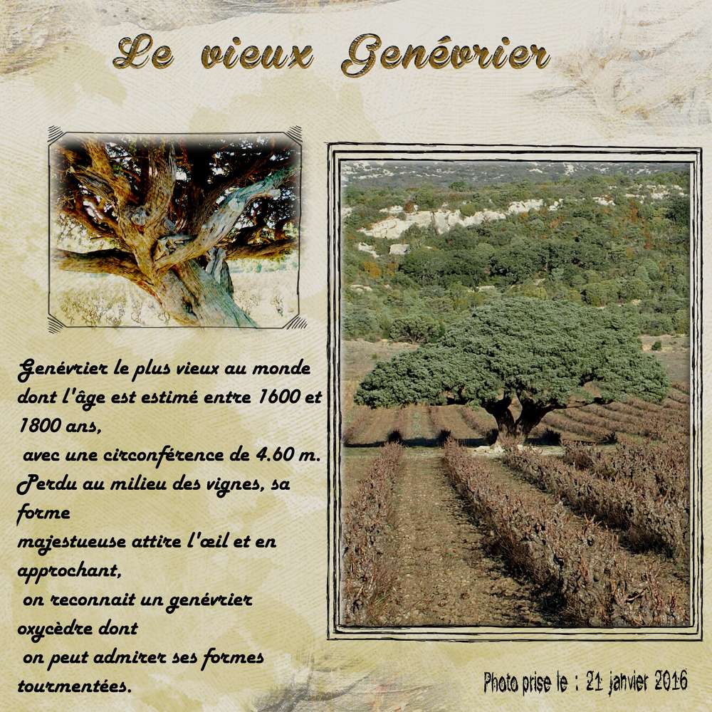 Suite rando du 21 janvier