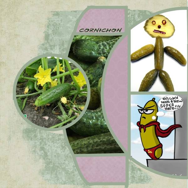 sur demande de Kinouliline