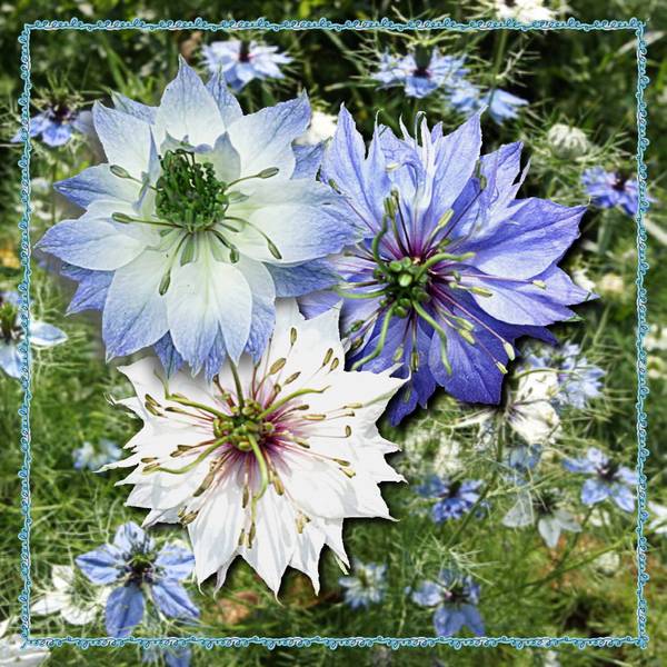 Sur le bord du chemin