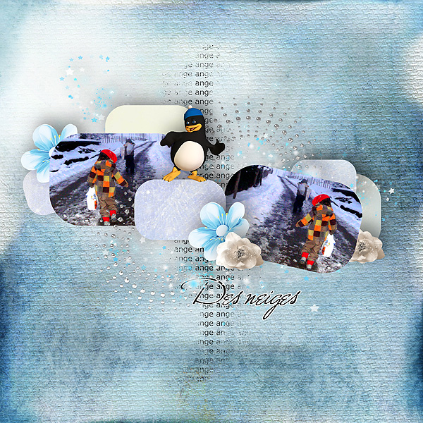 sur le chemin enneigé