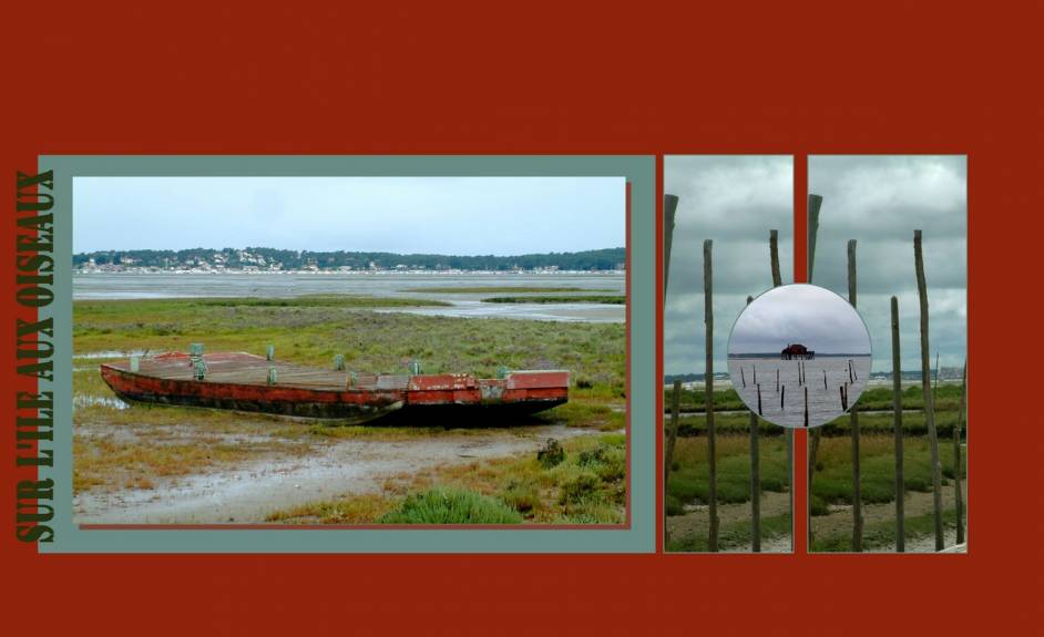 Sur l'Ile aux Oiseaux