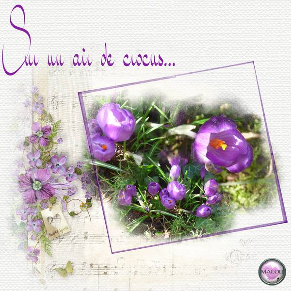Sur un air de crocus ....