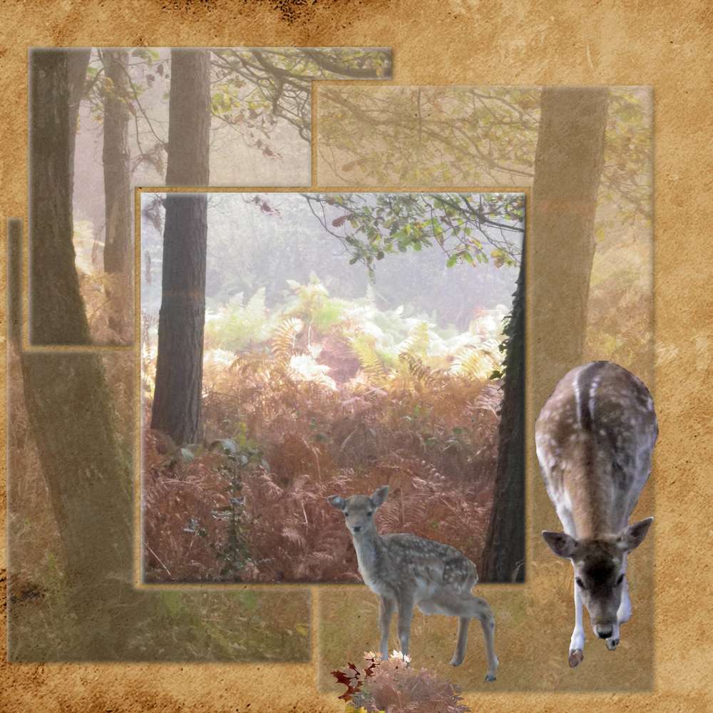 sur une autre idée de Moyson