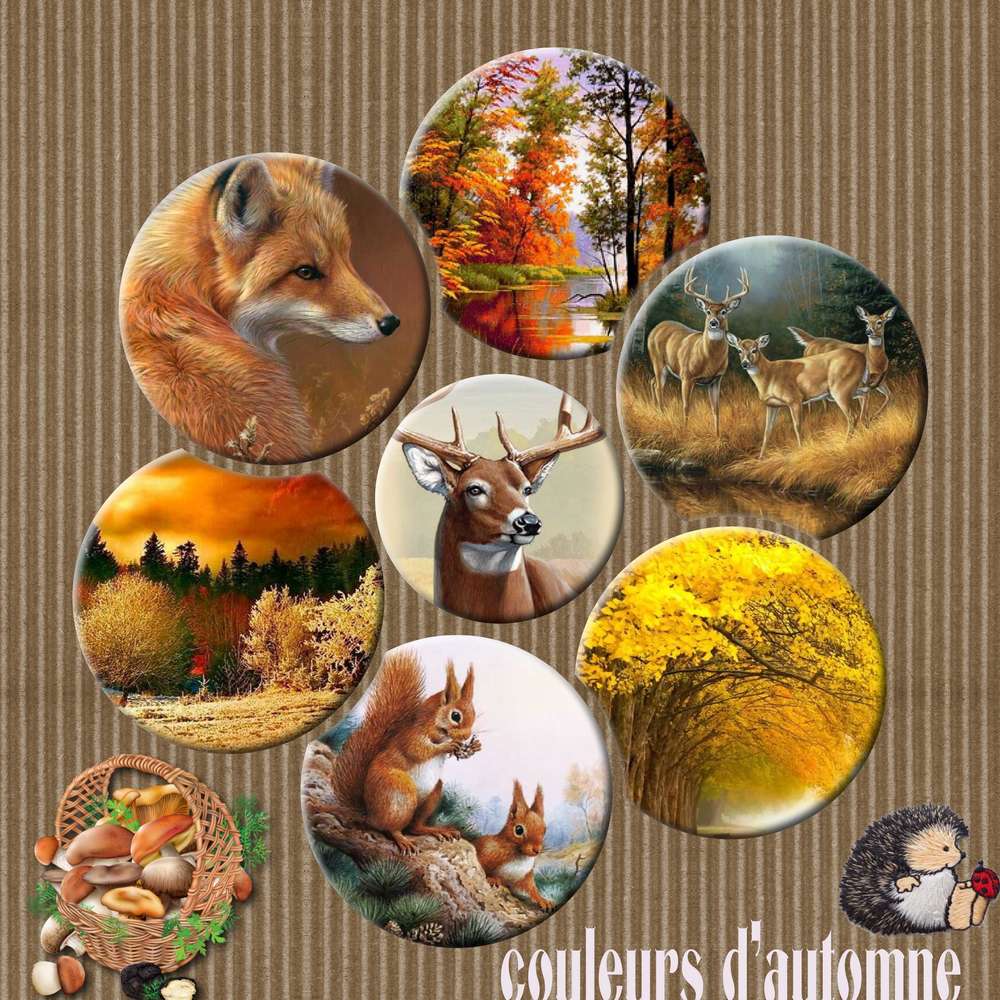 sur_une_idee_de_GILBERTE2