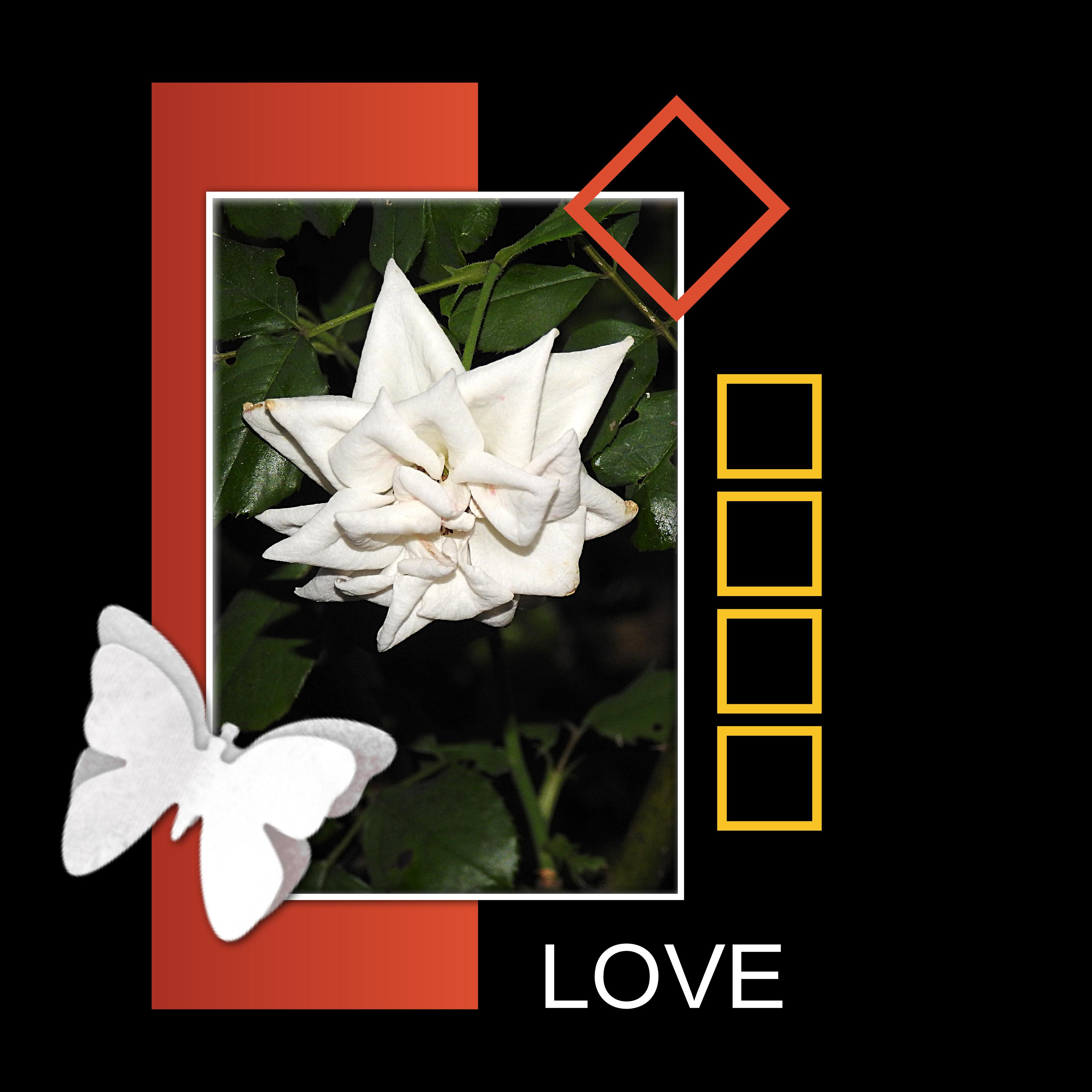 SURPRISE-Pour la DECOUVRIR cliquez sur cette VIGNETTE