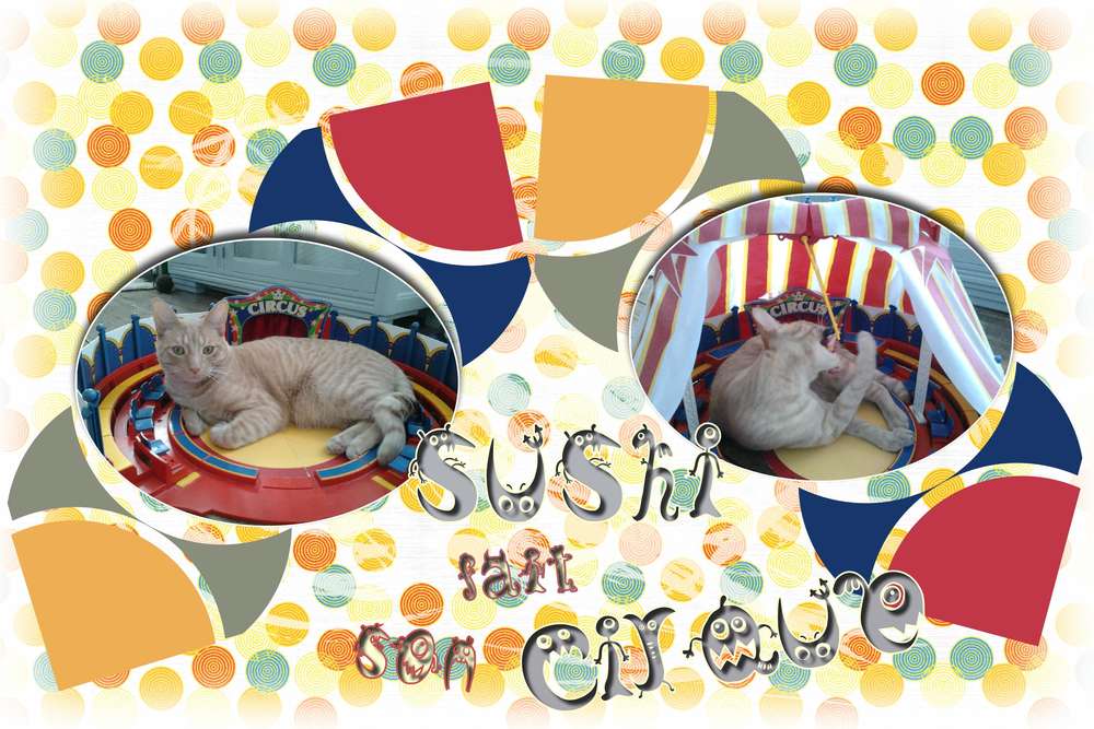Sushi_fait_son_cirque