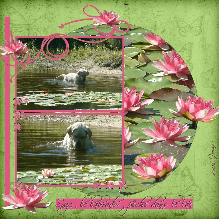 Suze au milieu des nénuphars