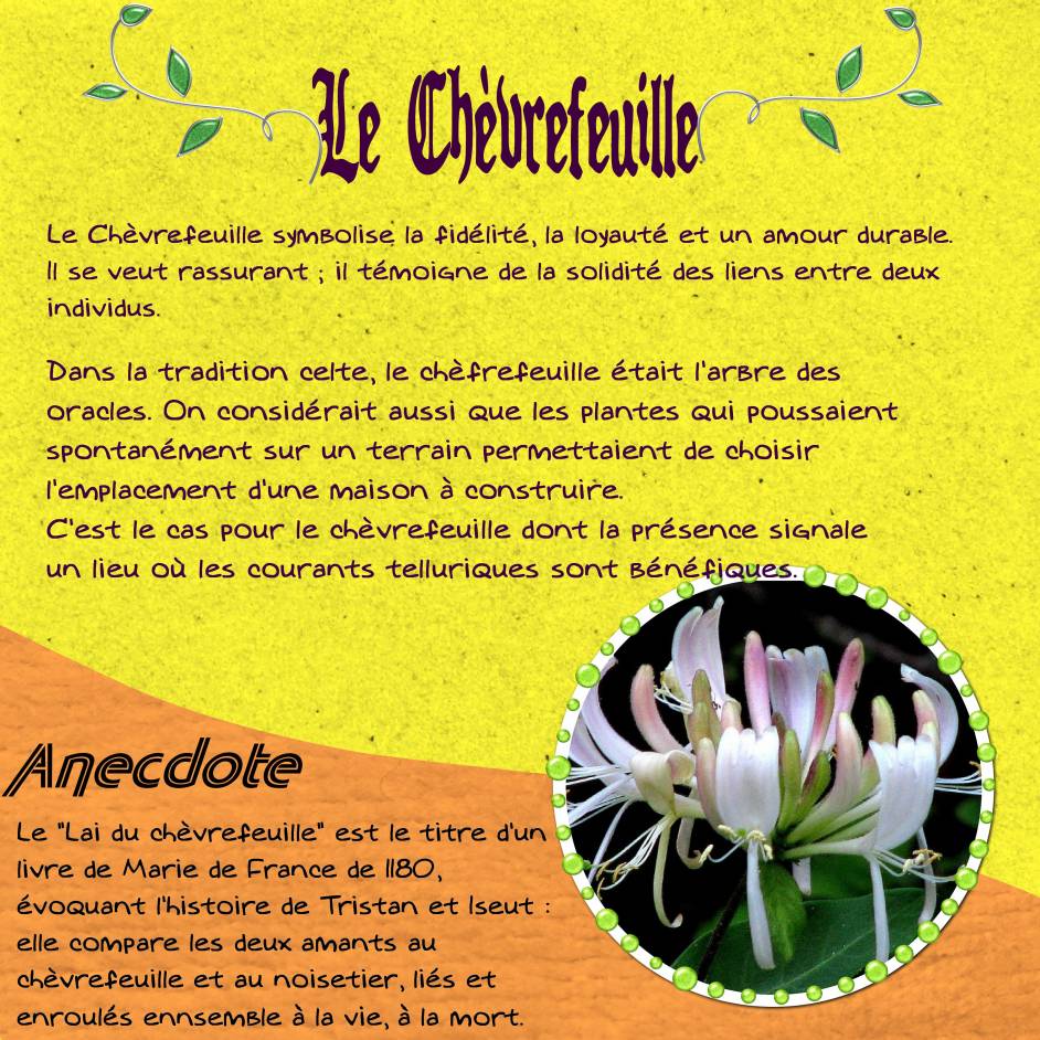 Symbole de la fidélité