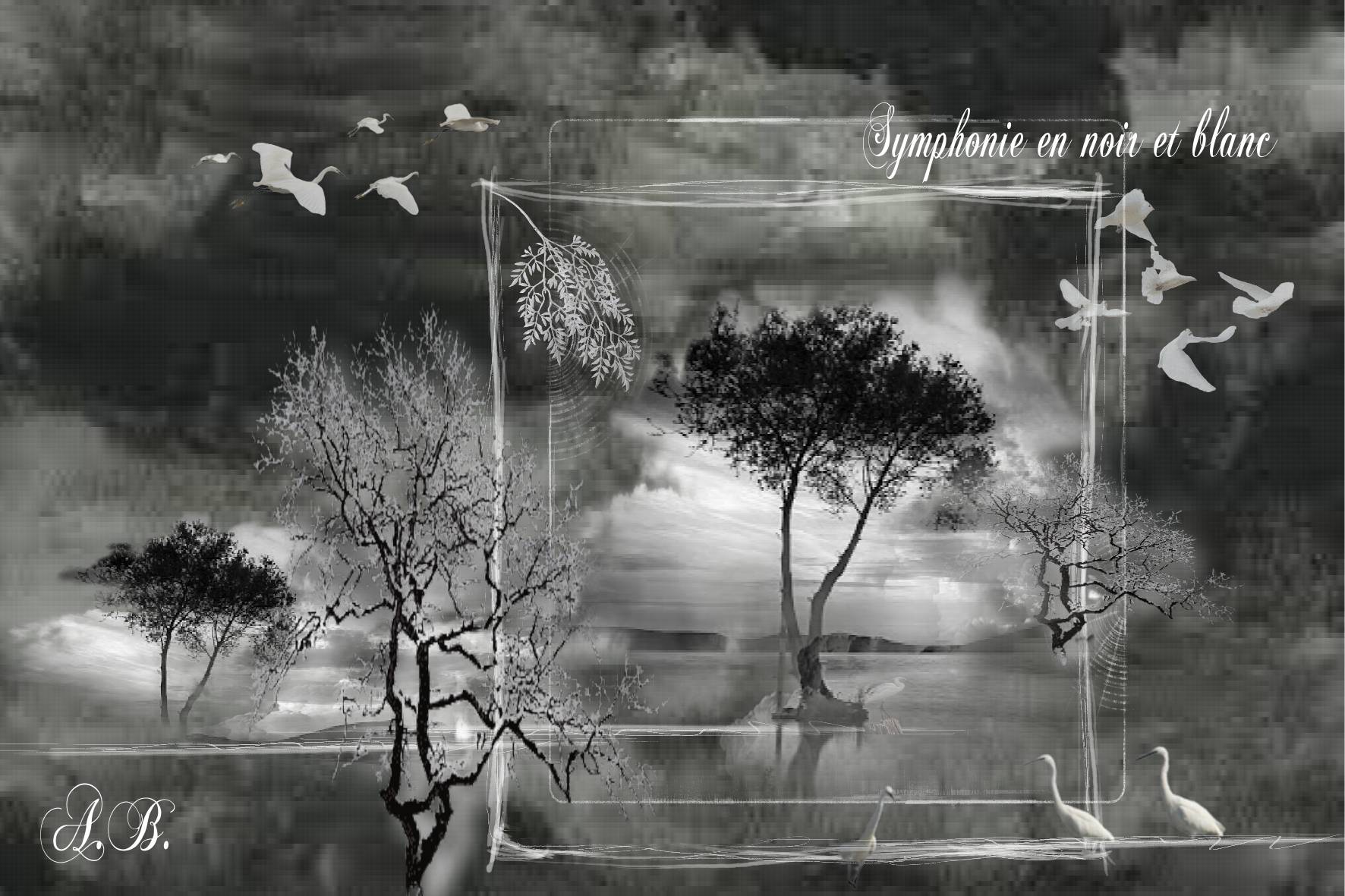 symphonie en noir et blanc. Aurore