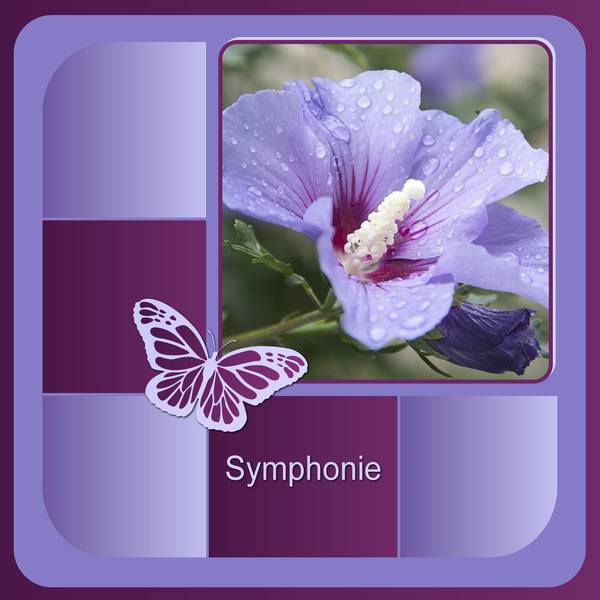 SYMPHONIE