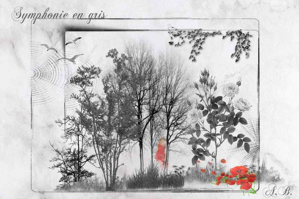 Symphonie_en_gris