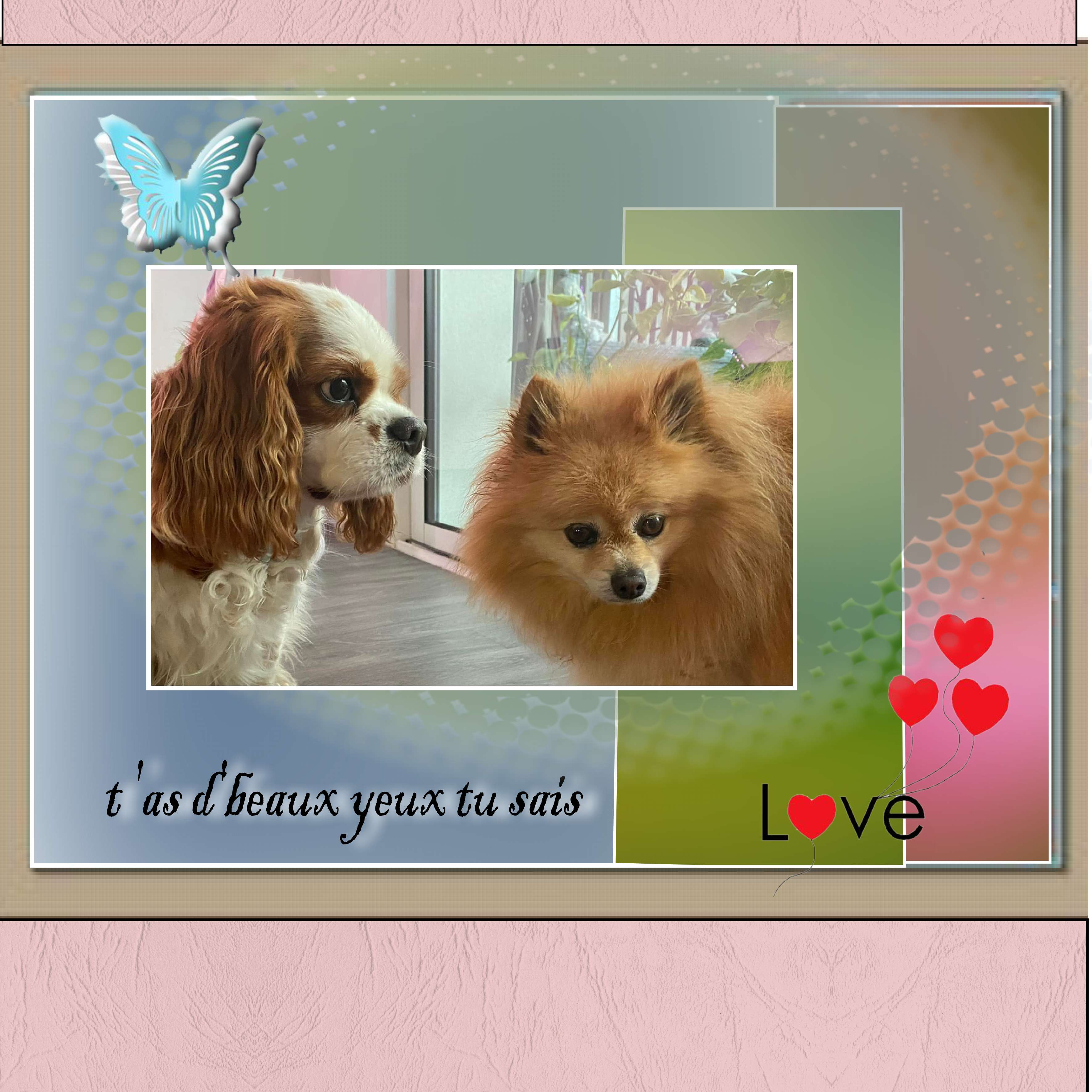 t a dbeaux yeux tu sais revue.jpg