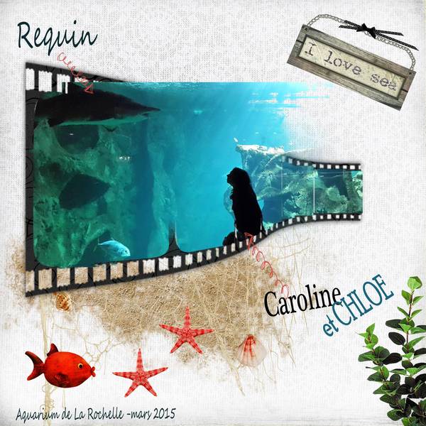 T as vu Maman le gros roquin?