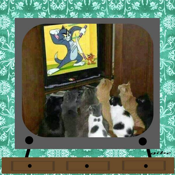 t__l__spectateurs_engag__s