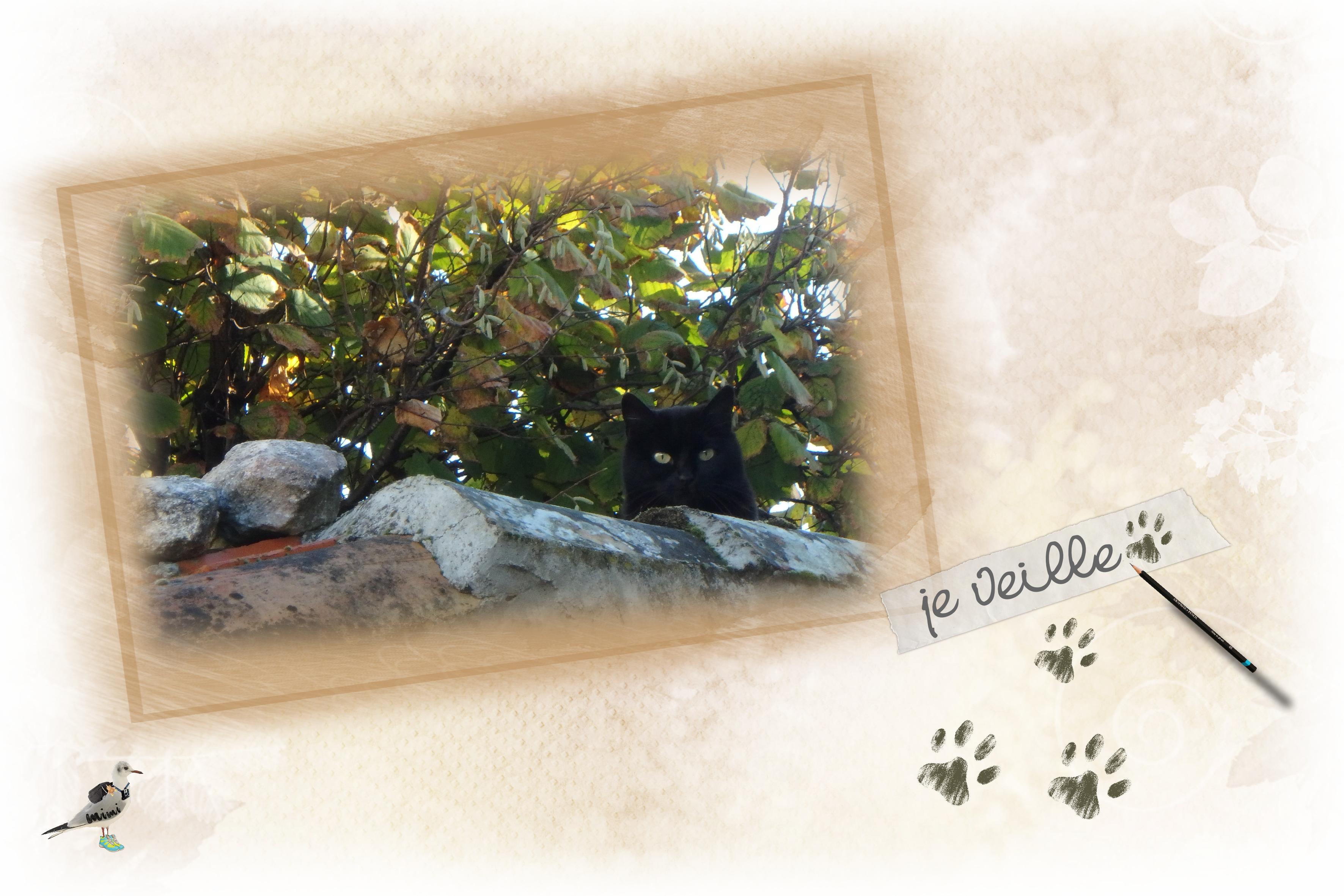 Talmont-je veille-12 nov.jpg