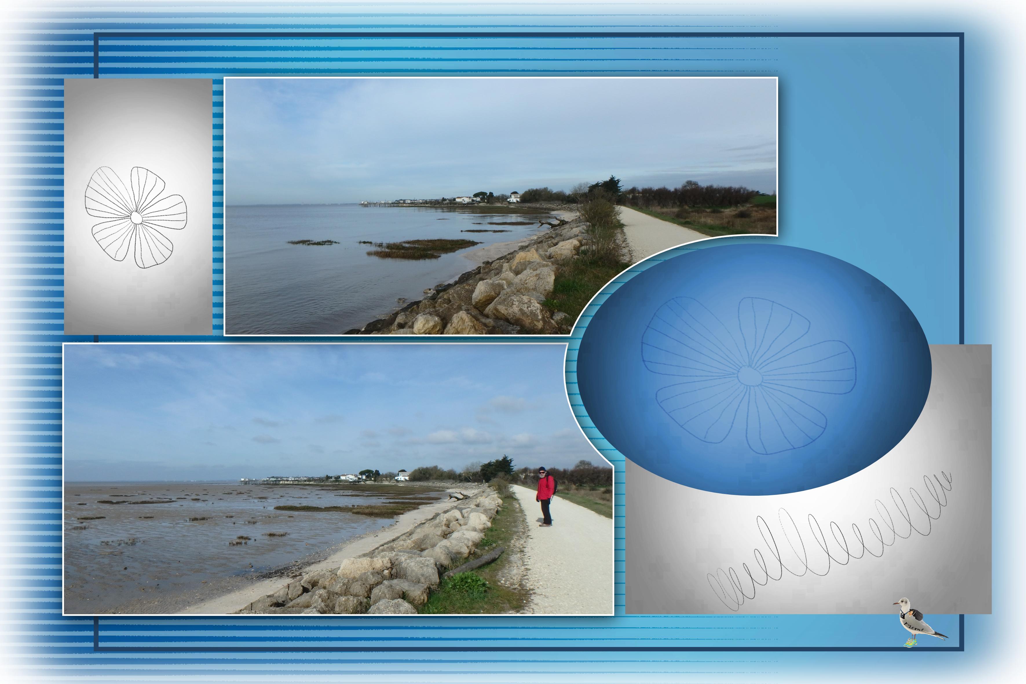 Talmont -Meschers-balade matinale-18 mars.jpg