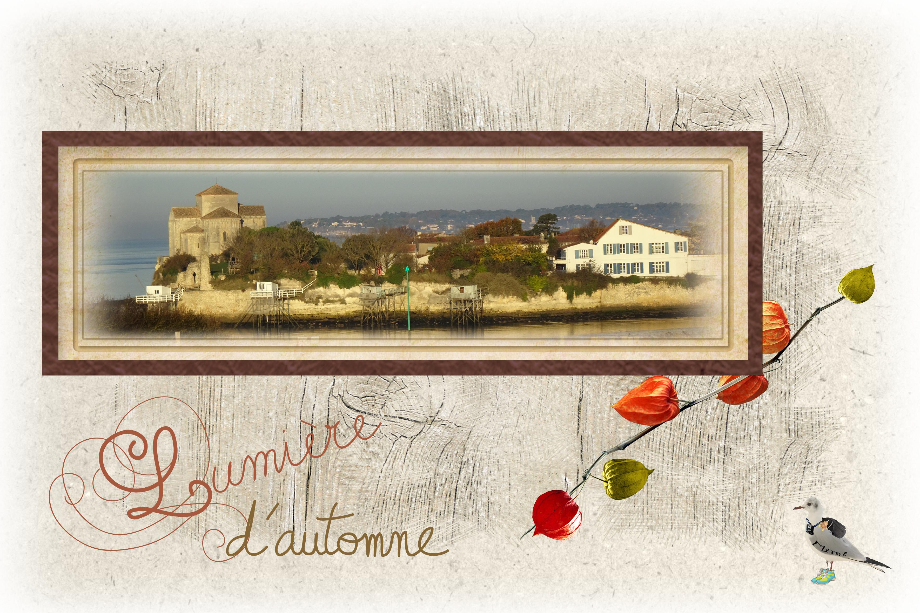 Talmont-vu de la falaise-12 novembre.jpg