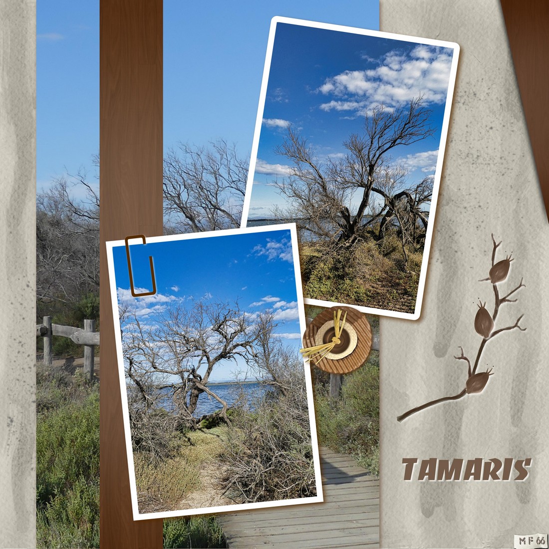 Tamaris village des pêcheurs 20.09.23.jpg