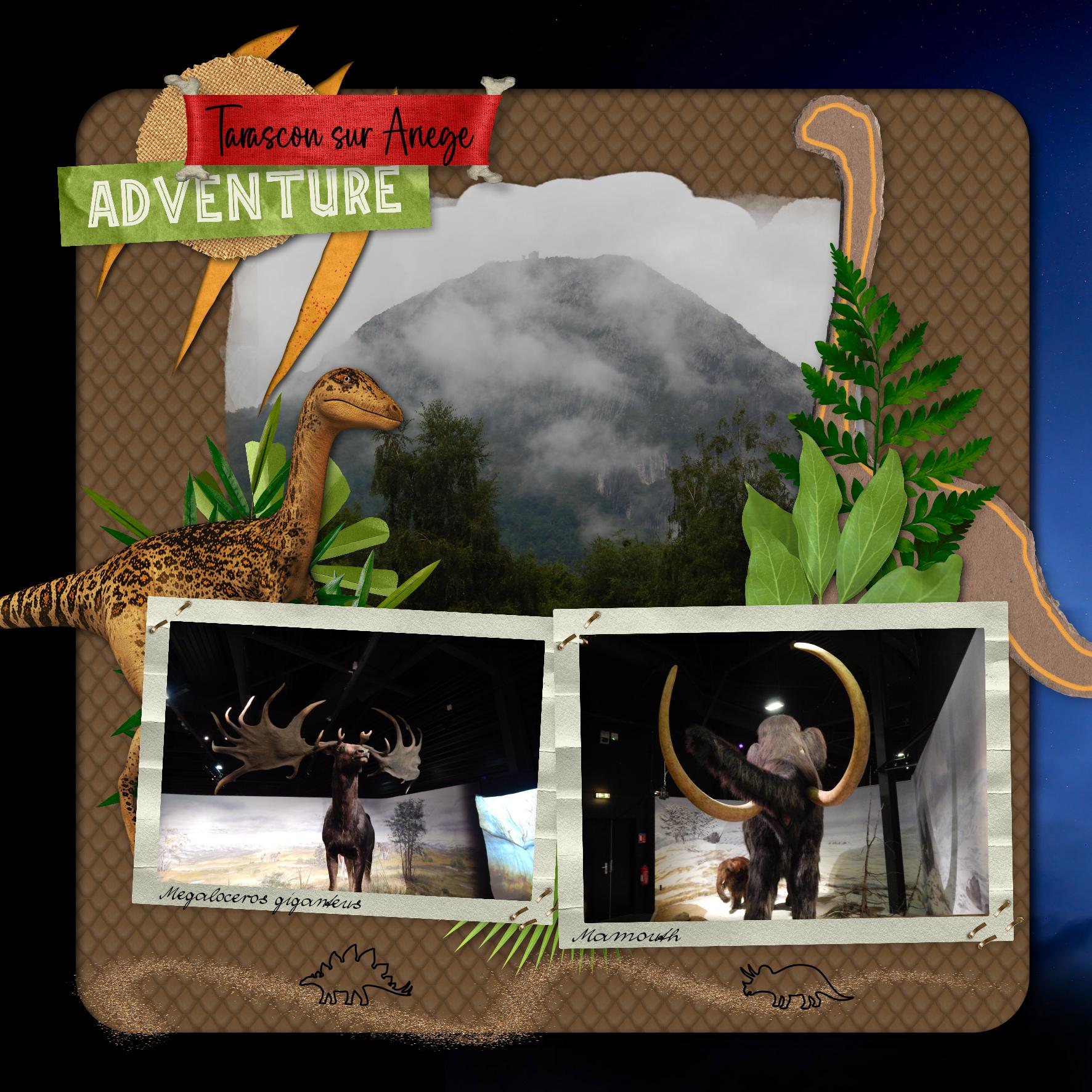 tarascon sur ariege.jpg