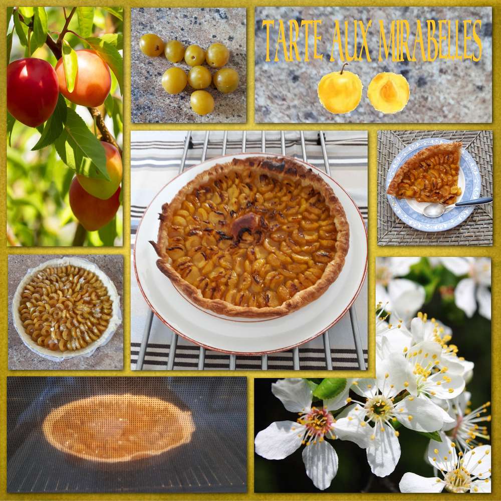 Tarte aux mirabelles