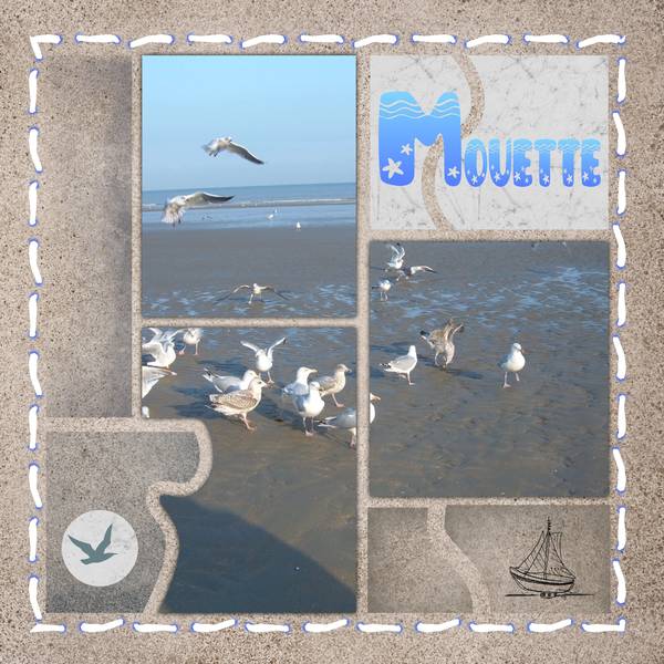 template animal - Mouette -