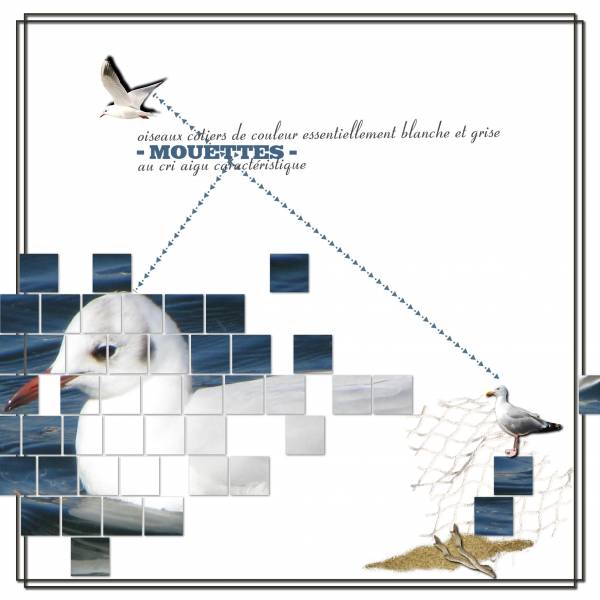 template carrés ARTHEA