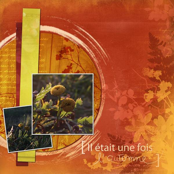 TEMPLATE CDIP NOVEMBRE 2014