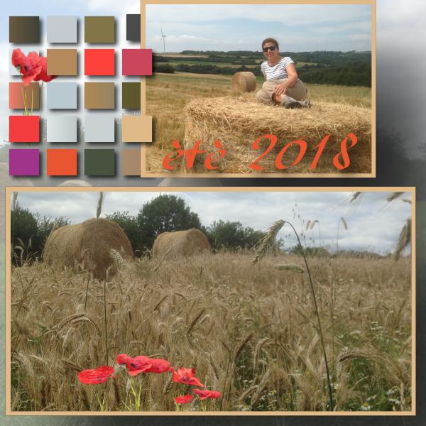 Template de Giecat ......