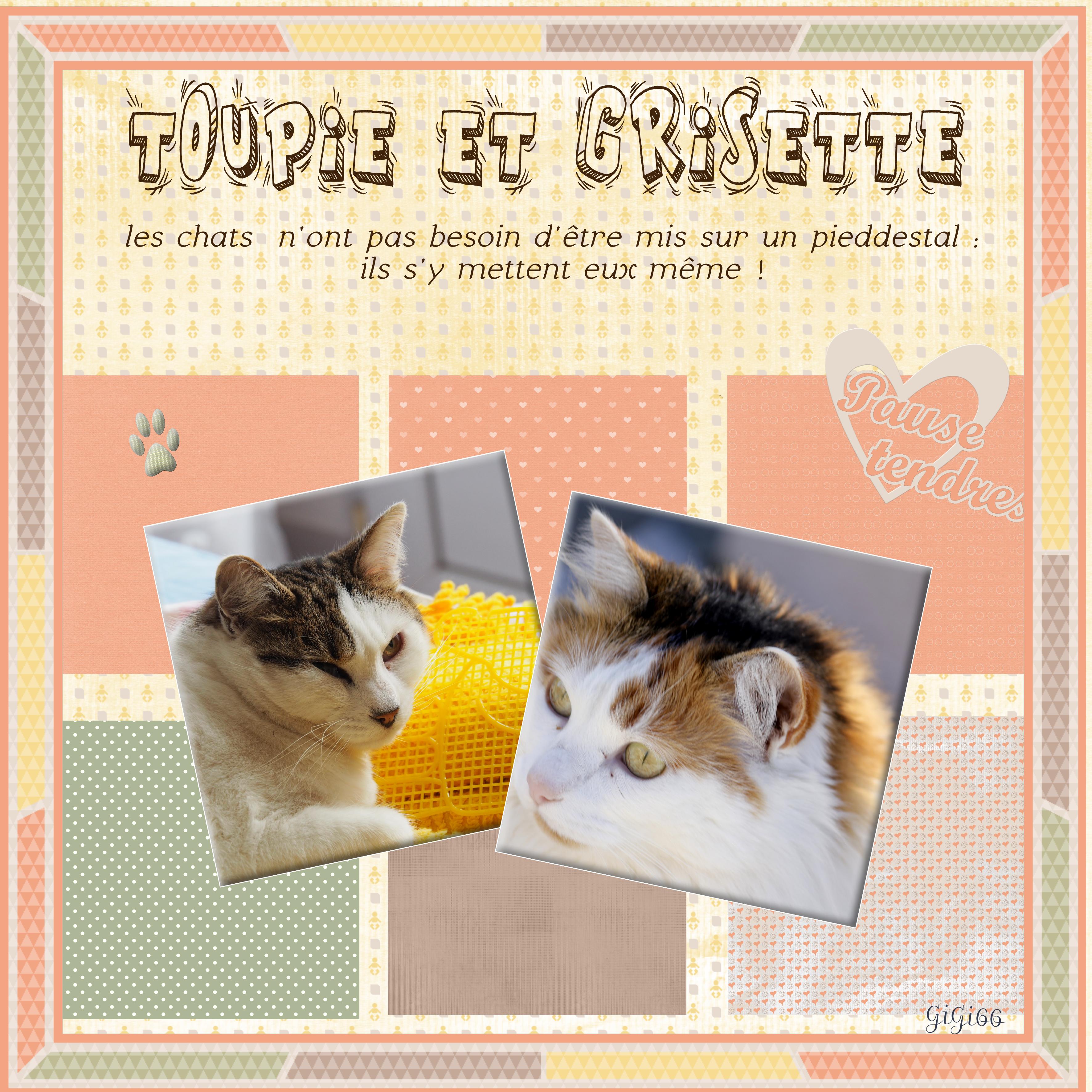 Template gilberte de janvier .jpg