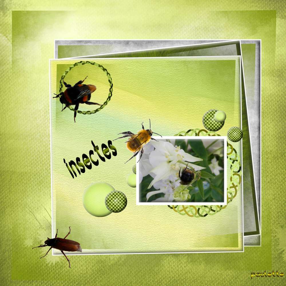 template mars aliselle