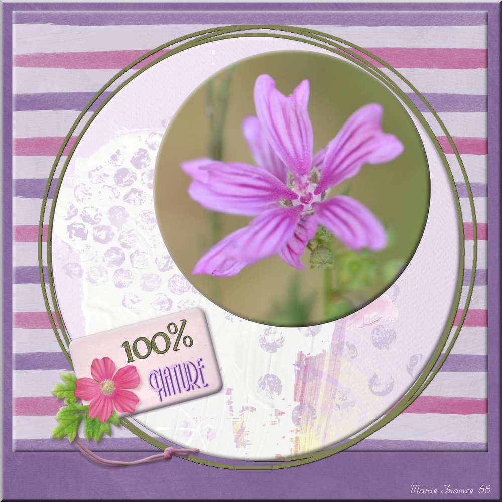 TEMPLATE MARS DE GILBERTE