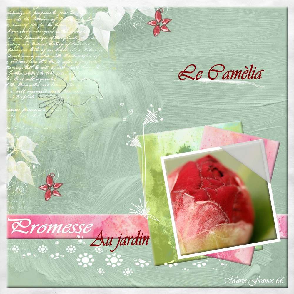 TEMPLATE N°2 DE GILBERTE : FEVRIER