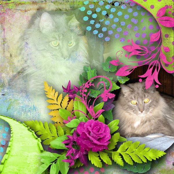 Template pack 26 et kit "colors exhibition" de Desclics