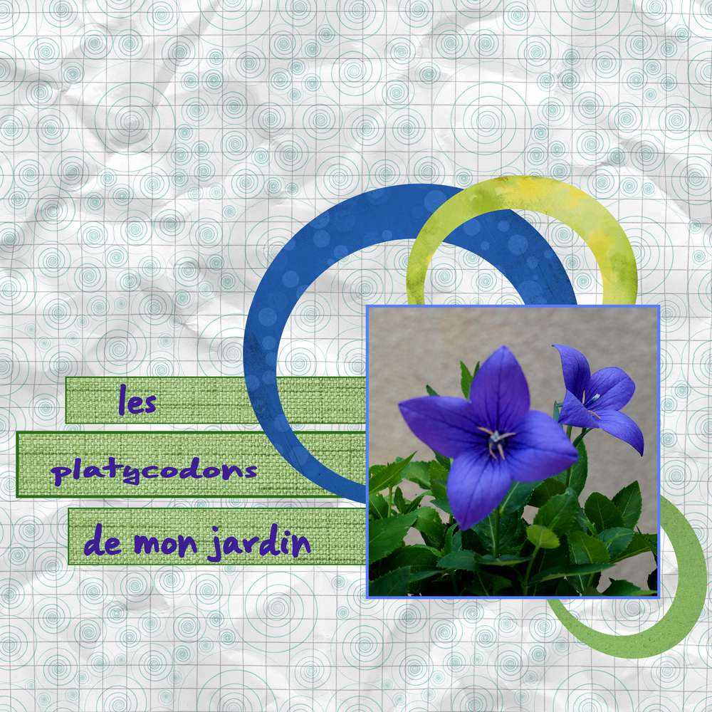 template_Gilberte_2-7-2016