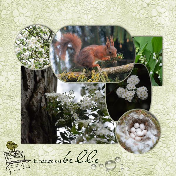 template_moison_bordure_magique