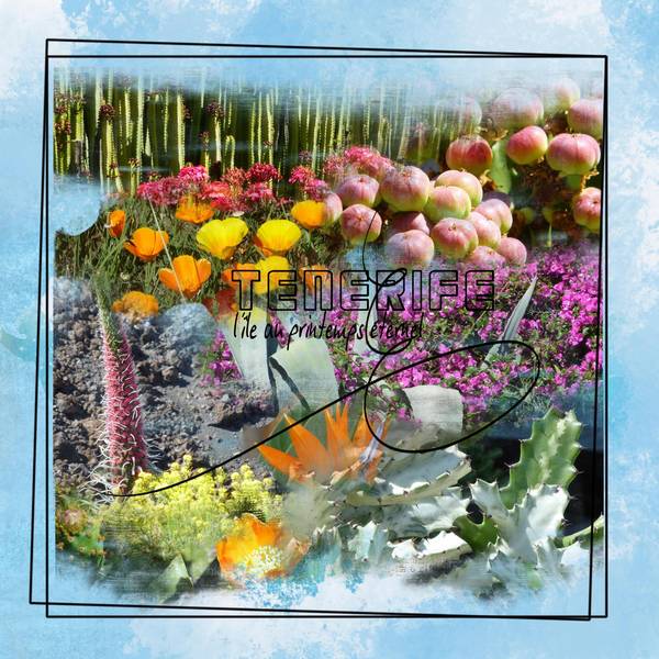 TenerifeFleurs