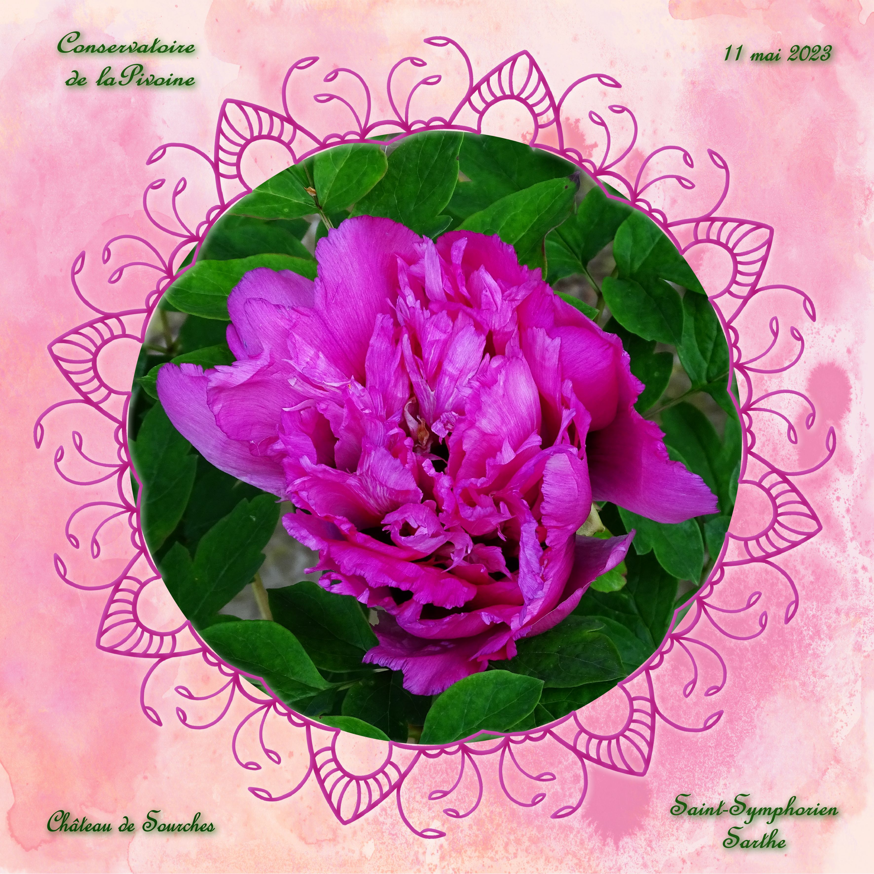 test Mandala - mai 2023 - .jpg