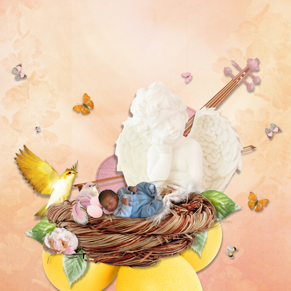 the birdcage de valkyrie desing