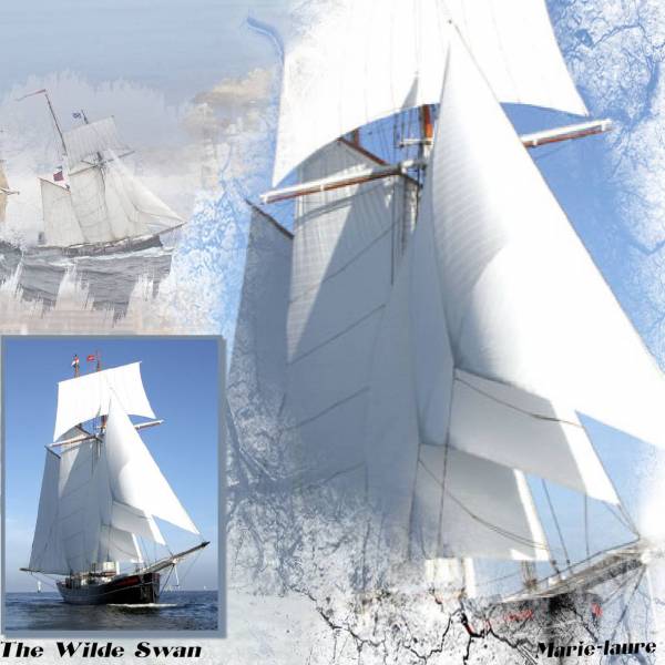 The Wilde Swan .....Goélette de 1920 .....