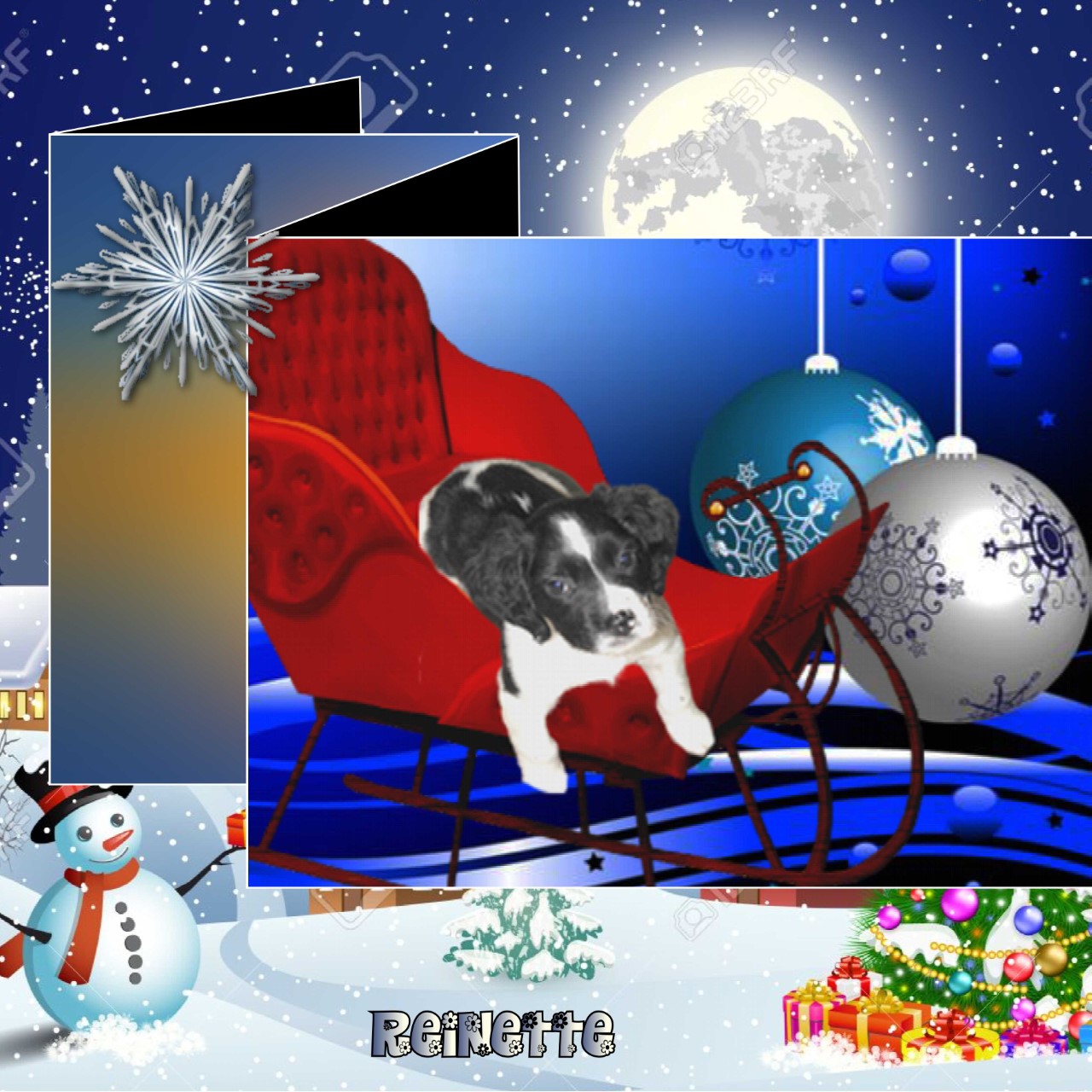 thumbnail_jolie petite REINETTE.jpg