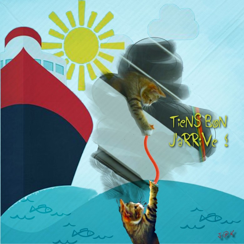 tiens bon j arrive!.jpg