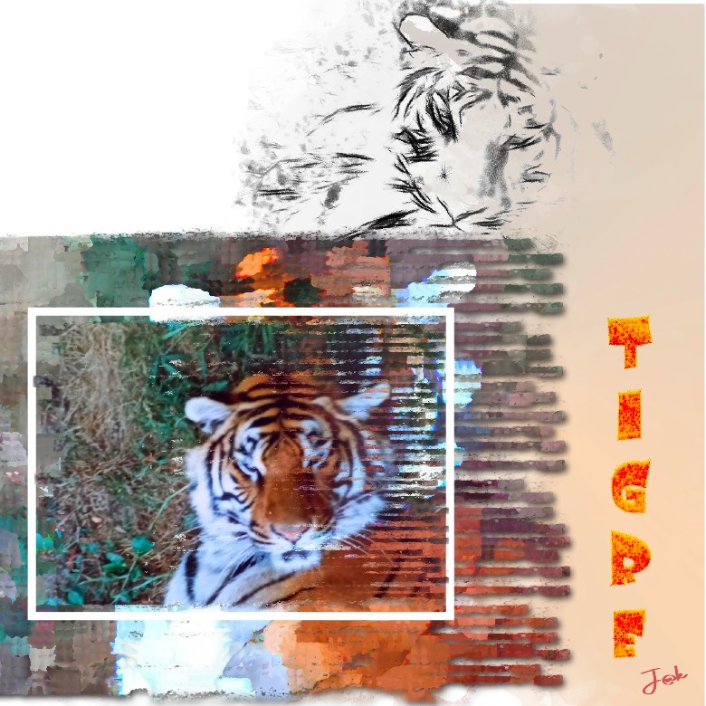 TIGRE challengesnoopy22.jpg