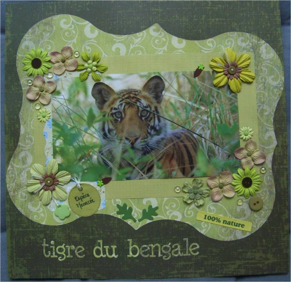 Tigre du Bengale