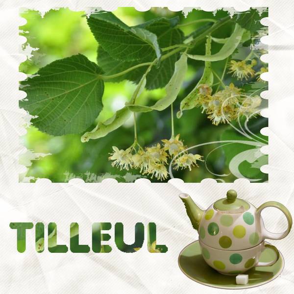 Tilleul_scrapathon5-Karine