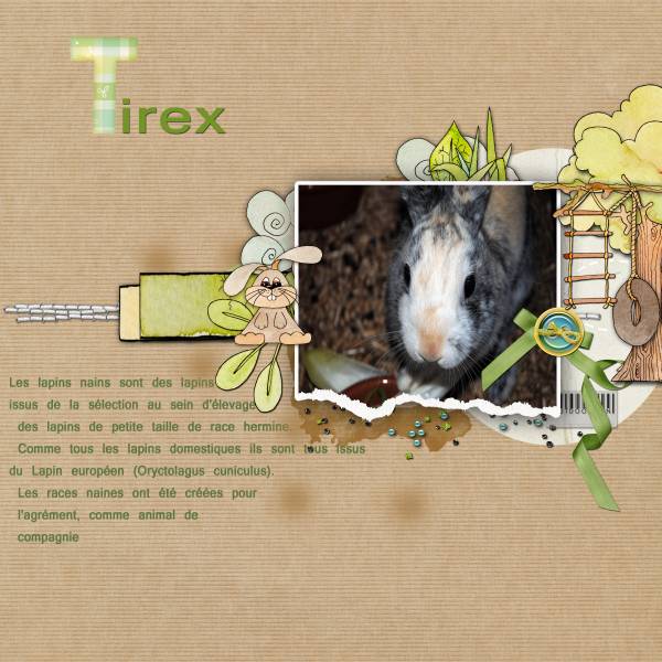 Tirex