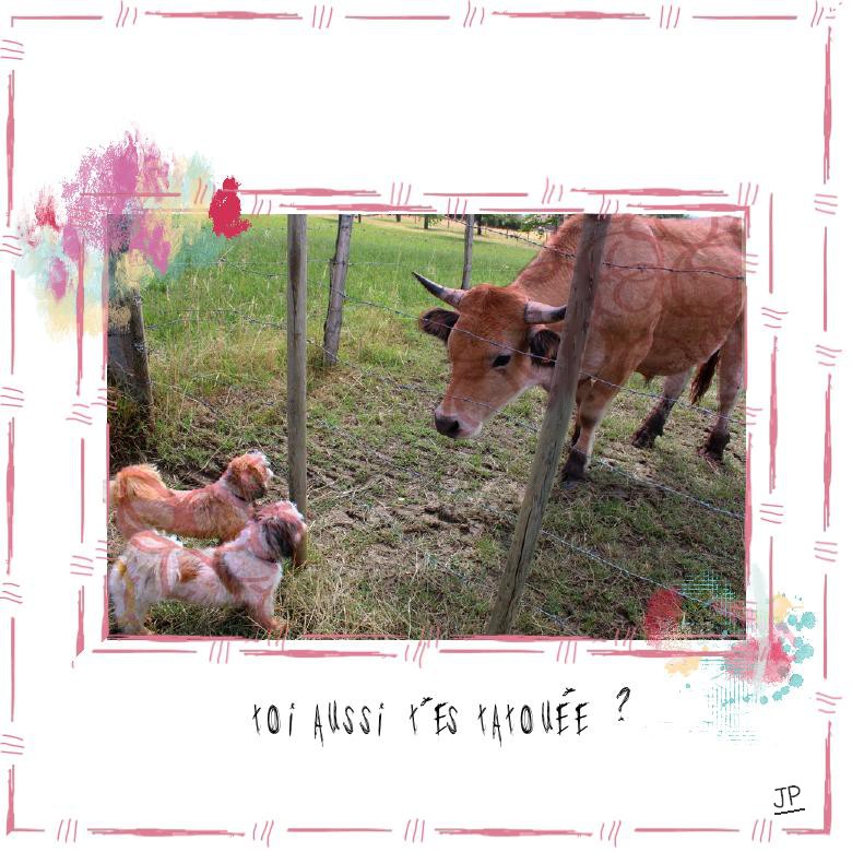 toi aussi t'es tatouée?