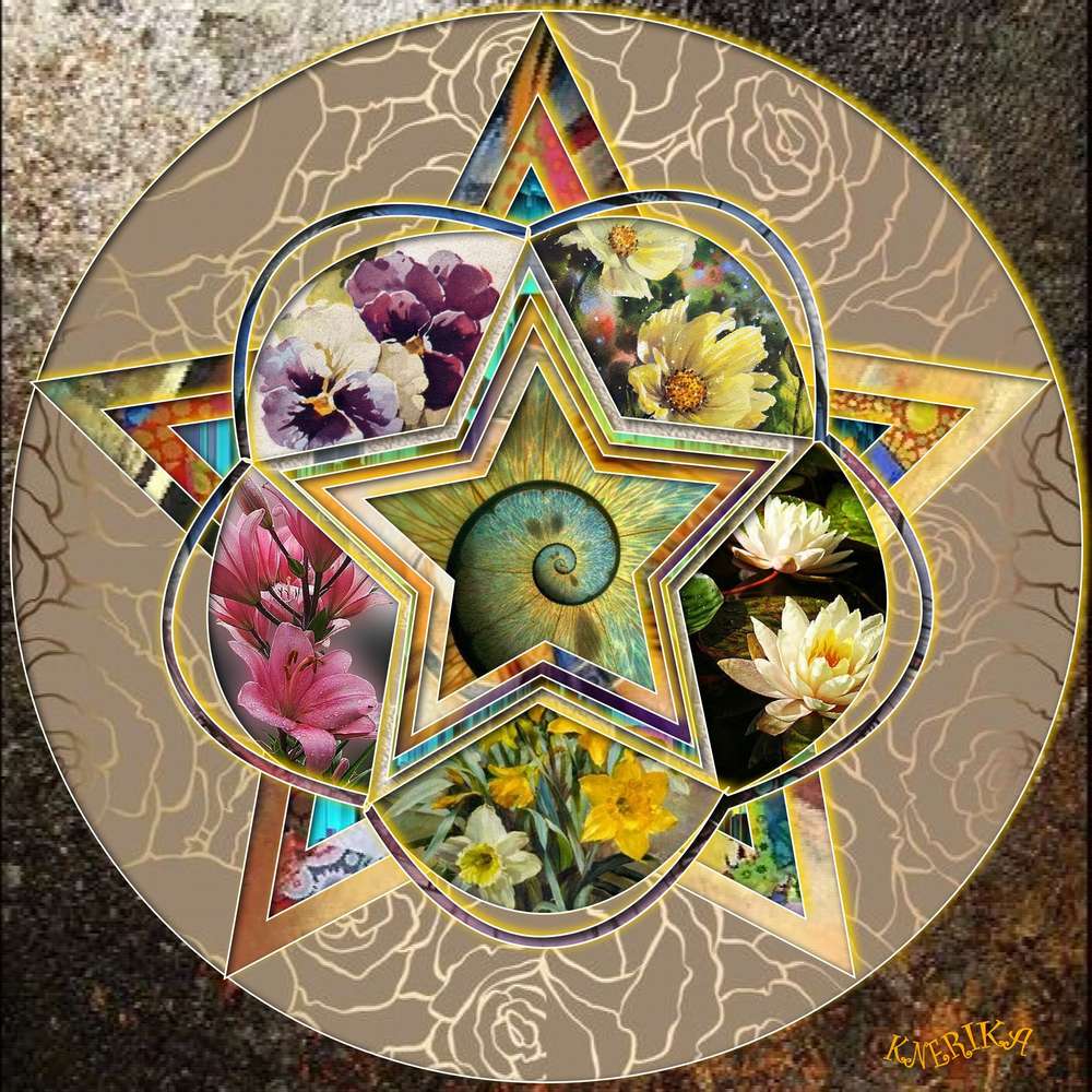 toiles_fleurie_du_10-06-19_OK