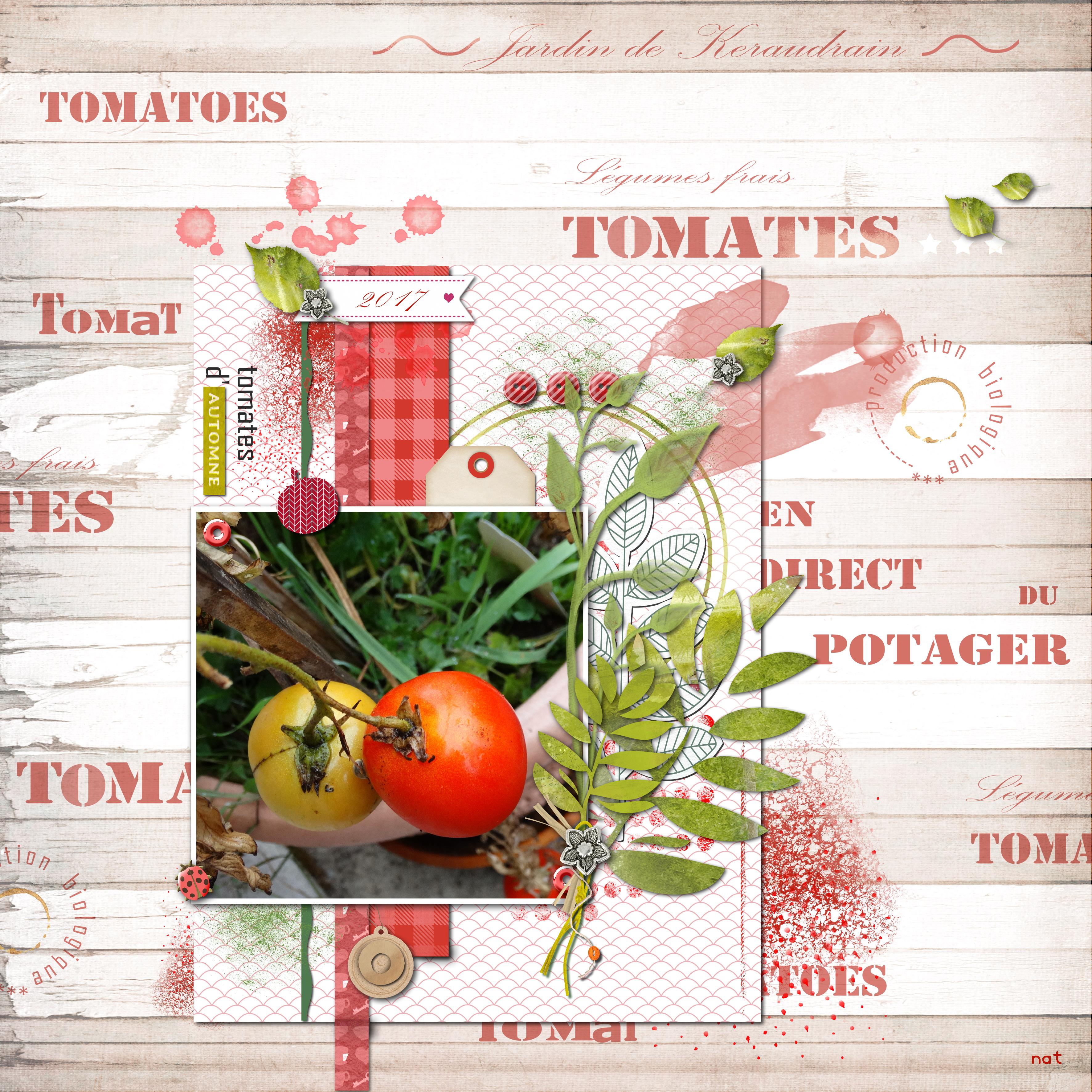 tomates de keraudrain.jpg